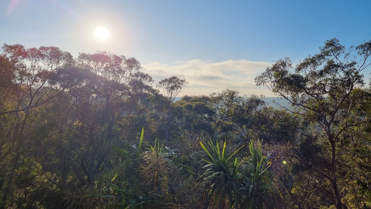 Photo of Others in Wentworth Falls