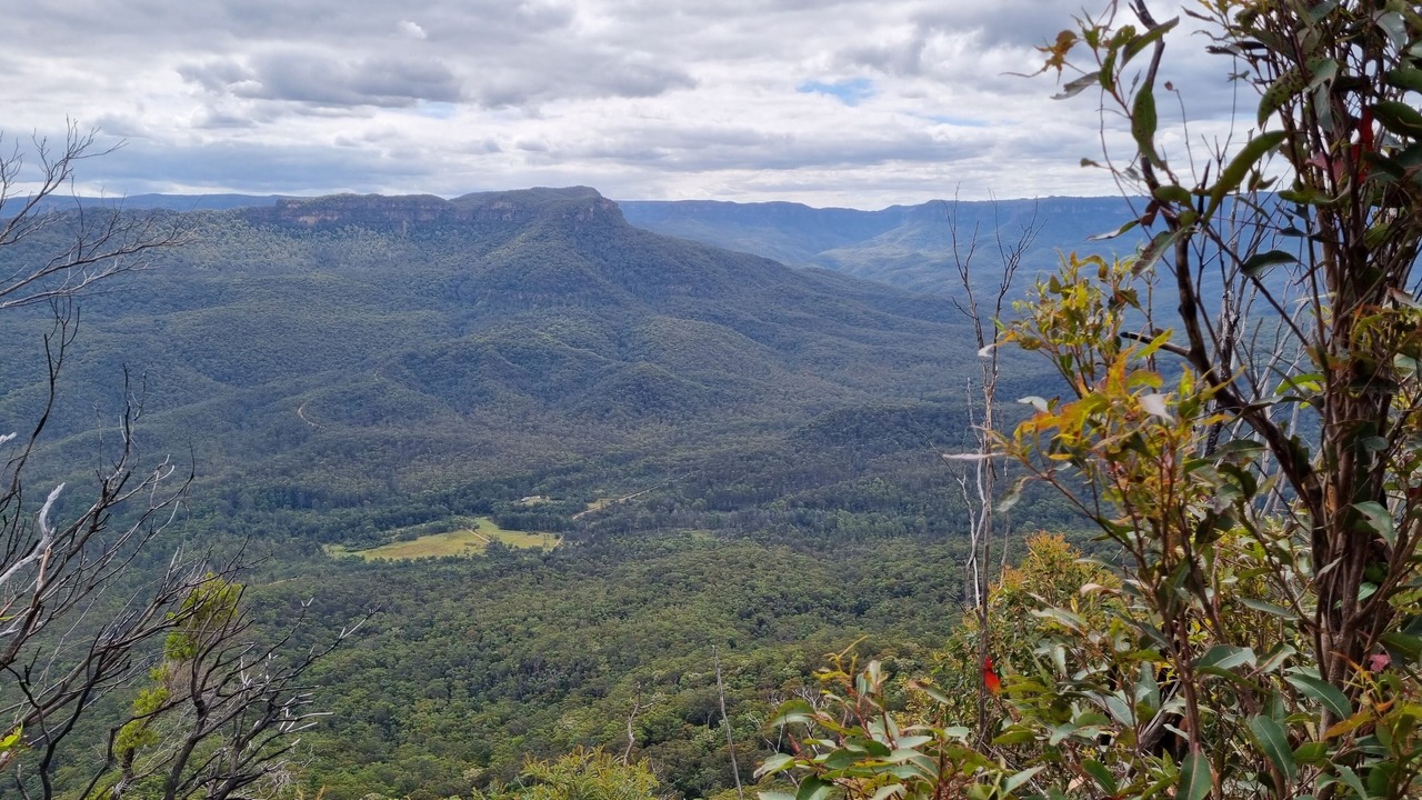 Photo of Others in Wentworth Falls