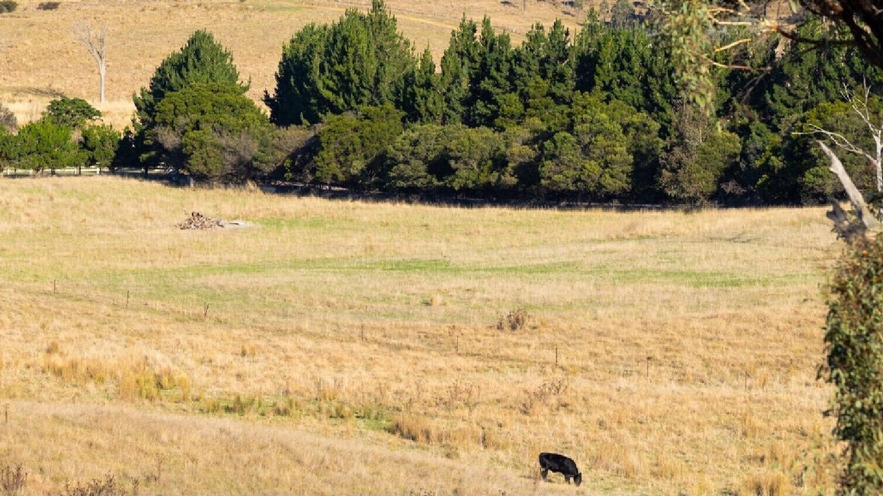 Photo of Others in Springrange