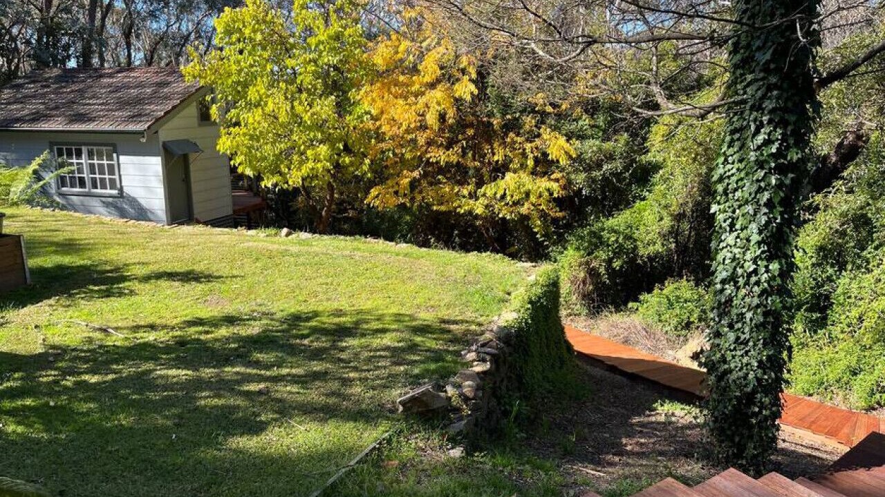 Photo of Outdoor in Leura
