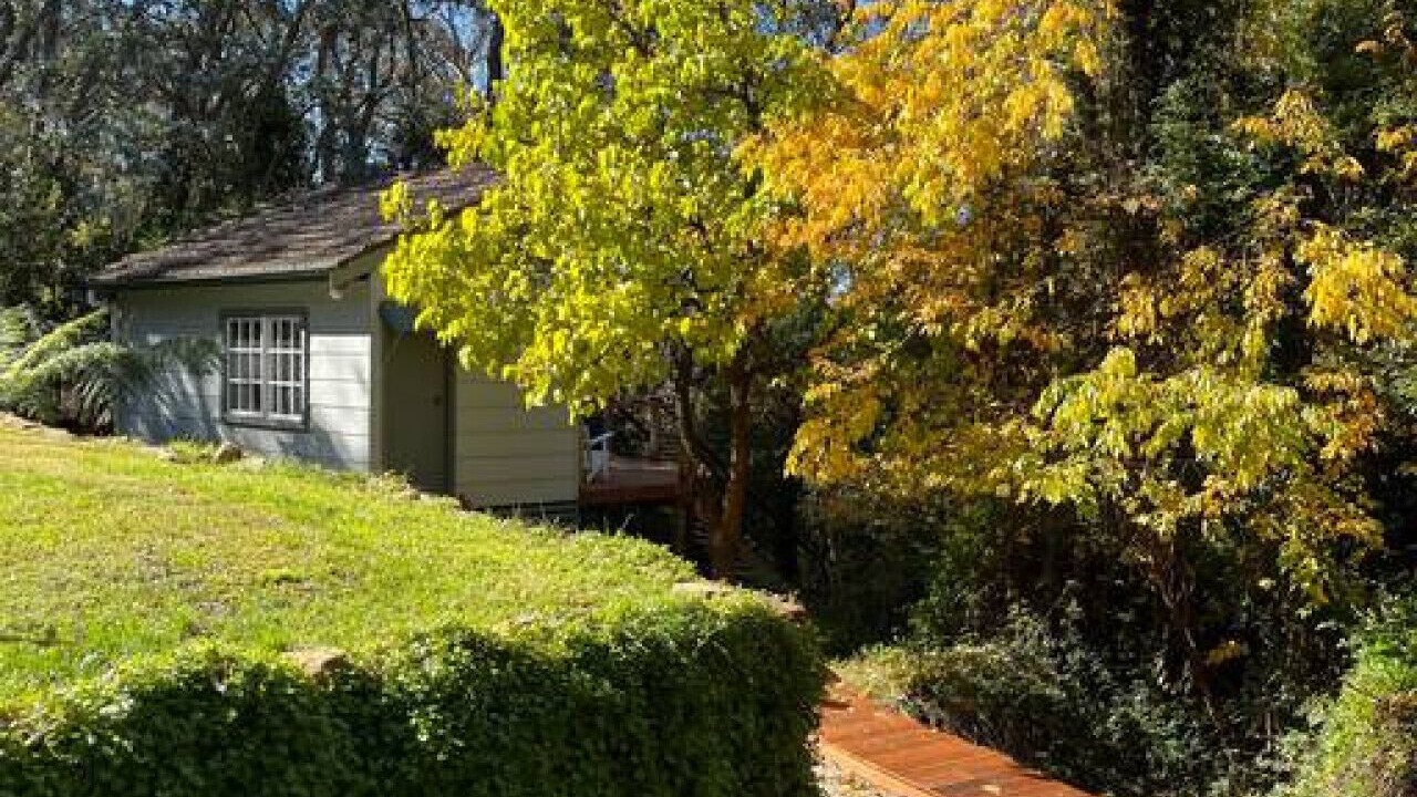 Photo of Outdoor in Leura