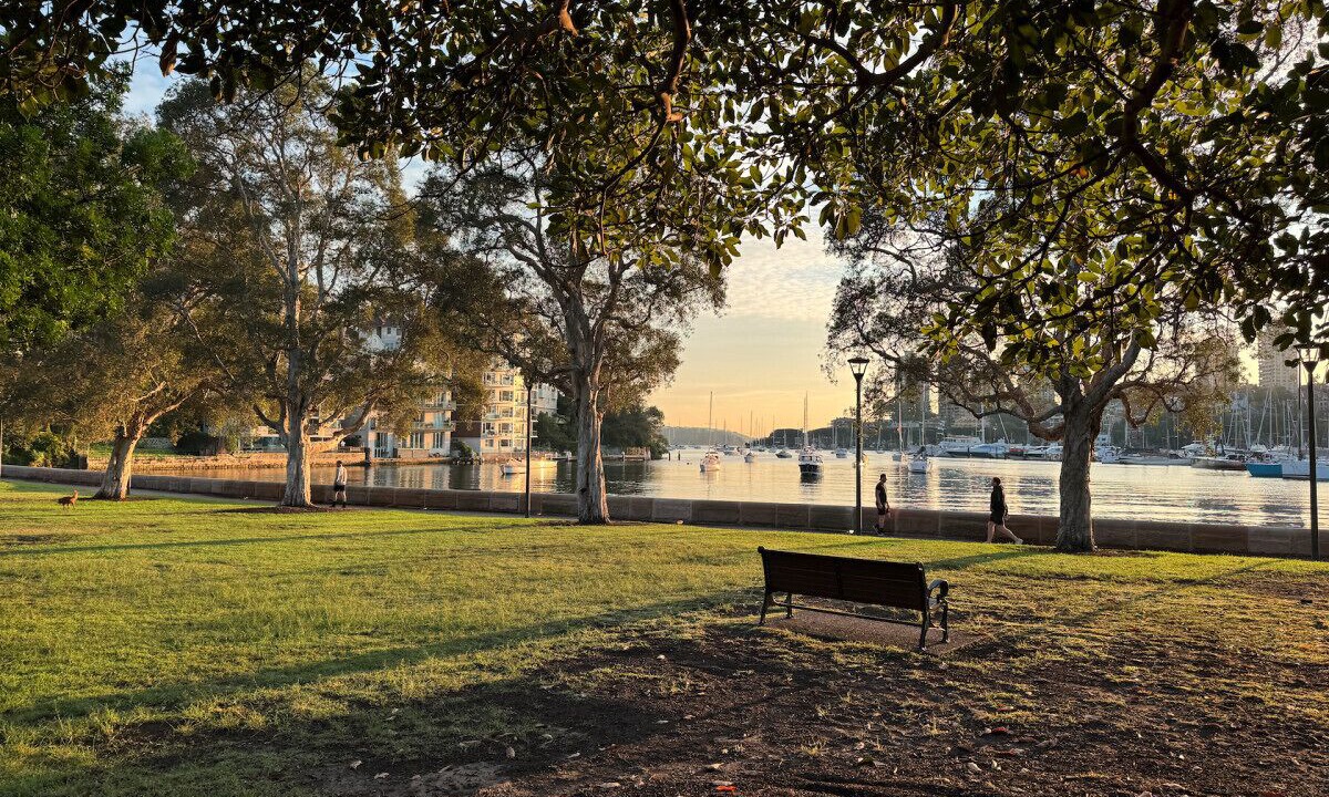 Photo of Others in Paddington
