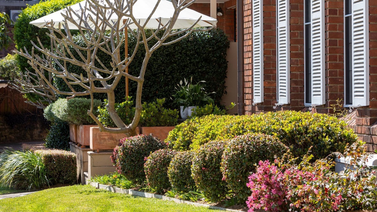 Photo of Outdoor in Point Piper