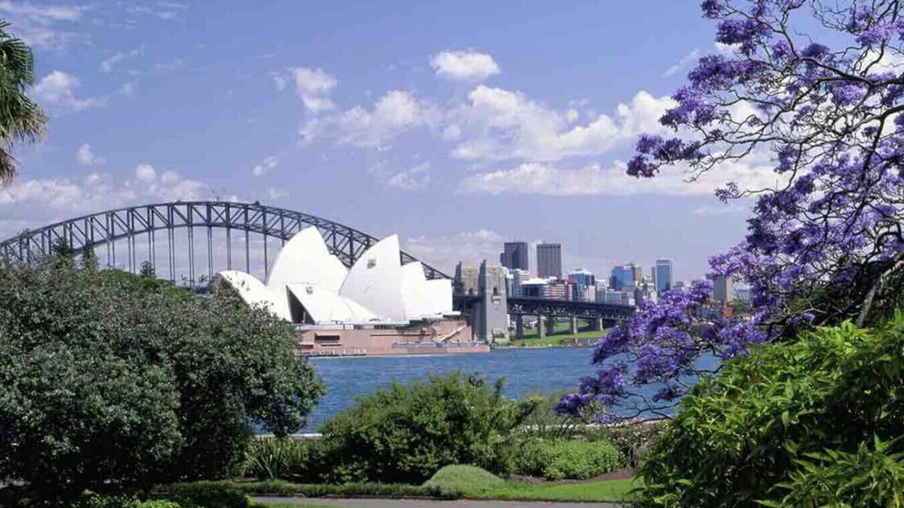 Photo of Others in Potts Point