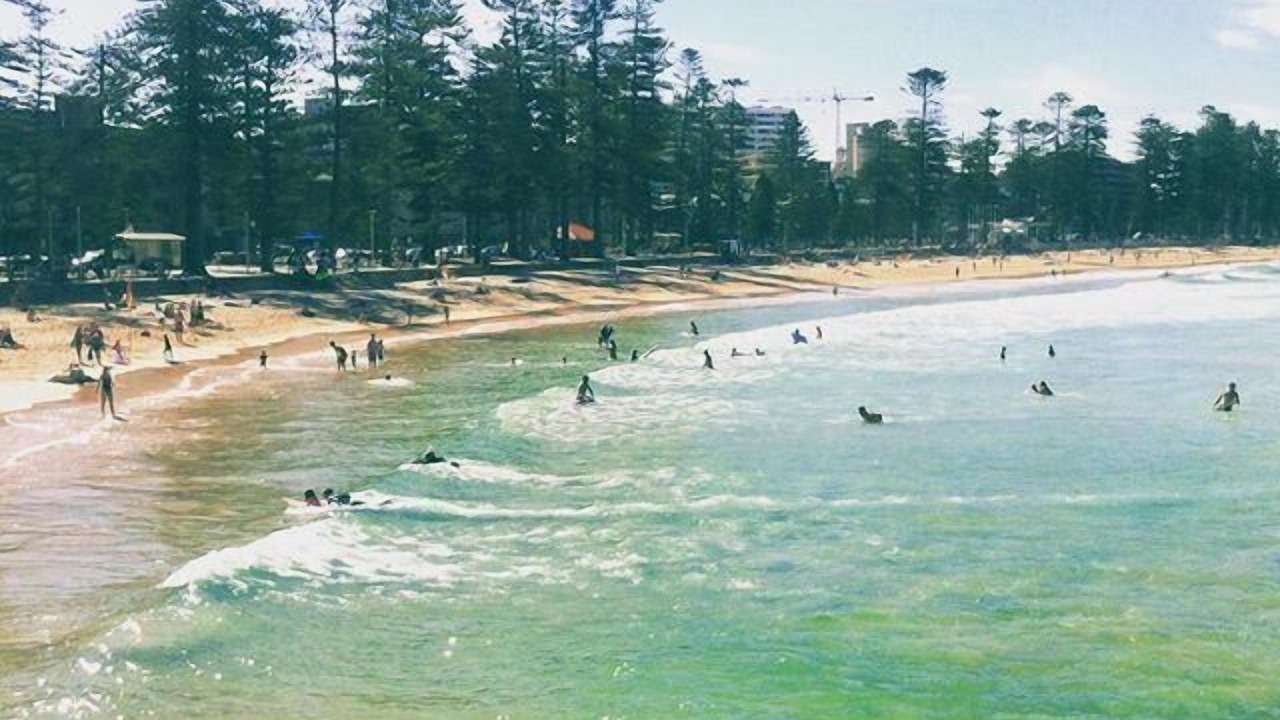 Photo of Others in Manly