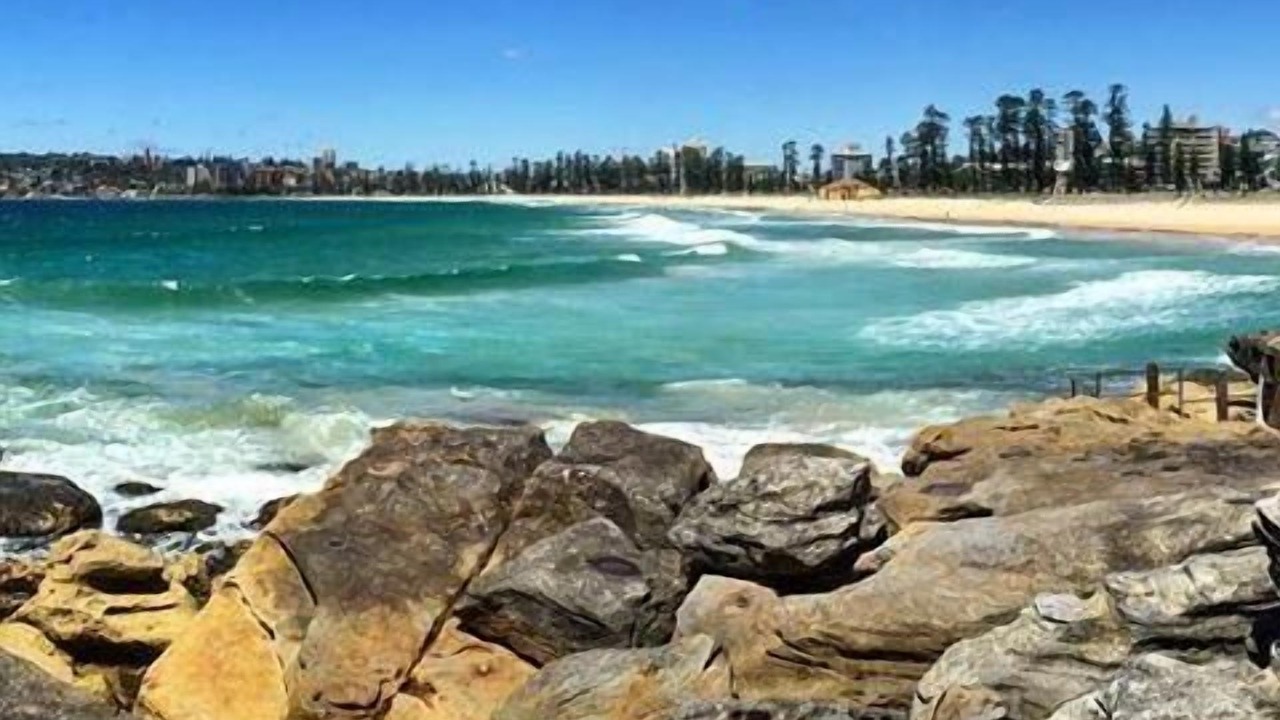 Photo of Others in Manly