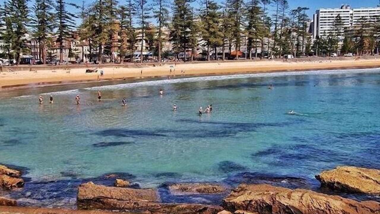 Photo of Others in Manly