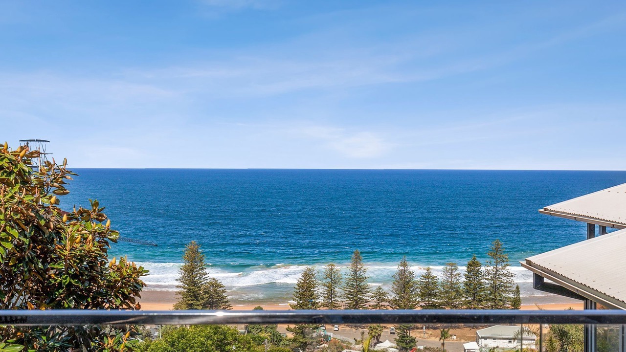 Photo of Others in Whale Beach