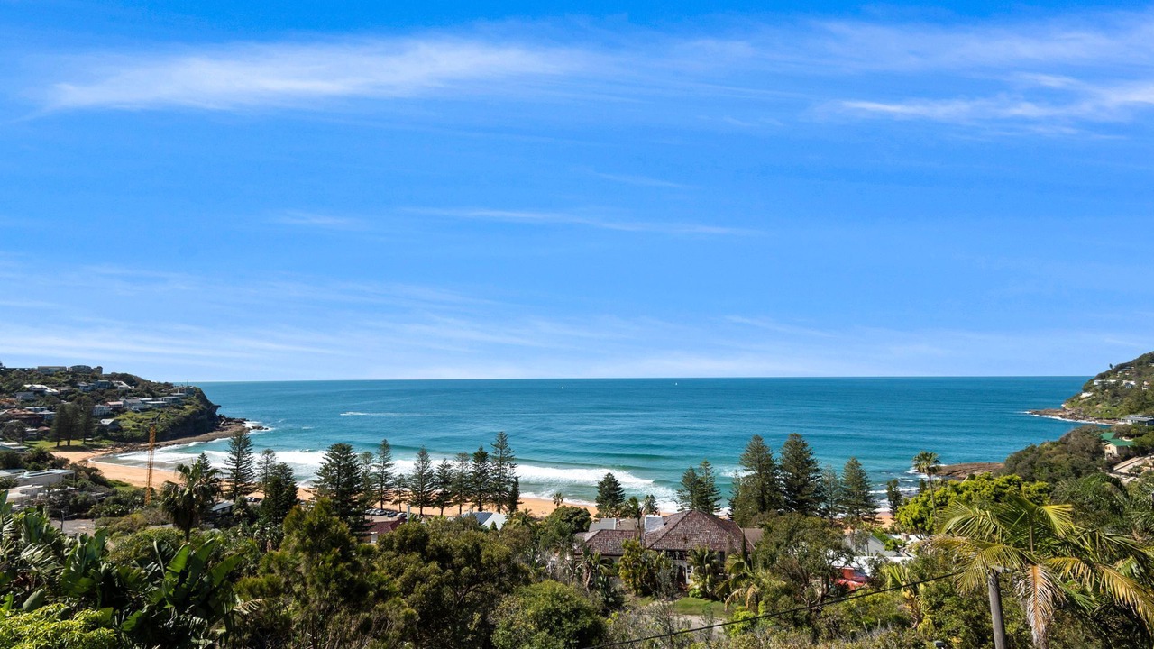 Photo of Others in Whale Beach
