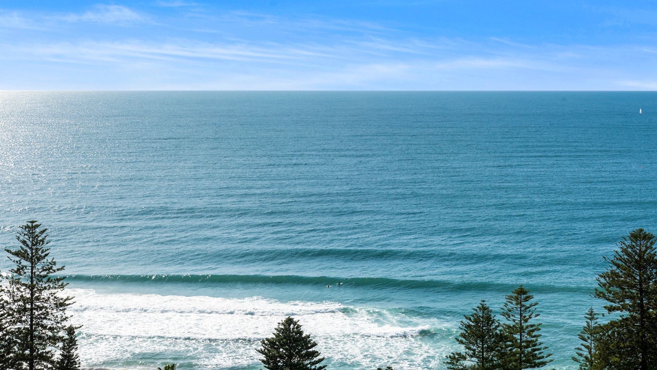 Photo of Others in Whale Beach