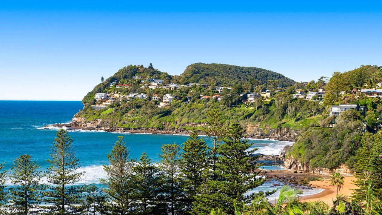 Photo of Others in Whale Beach