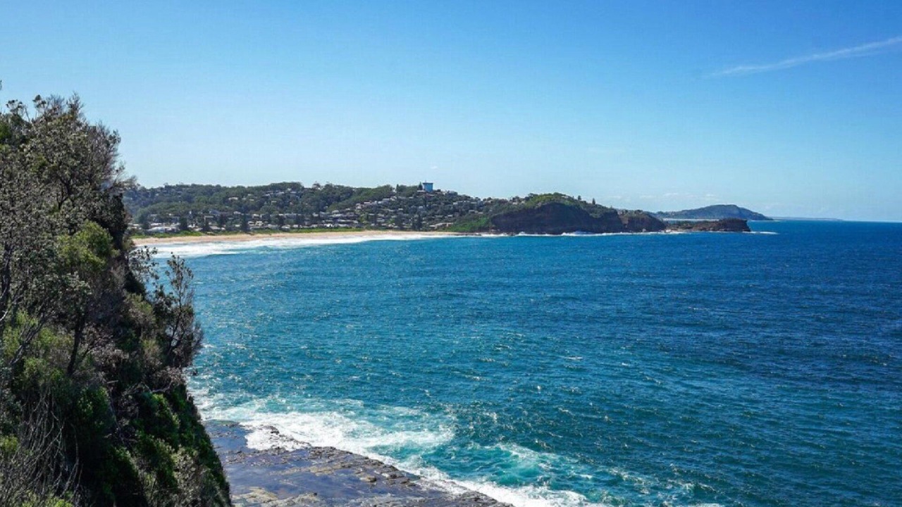 Photo of Others in Avoca Beach