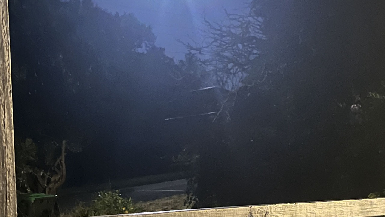 Photo of Others in Mittagong