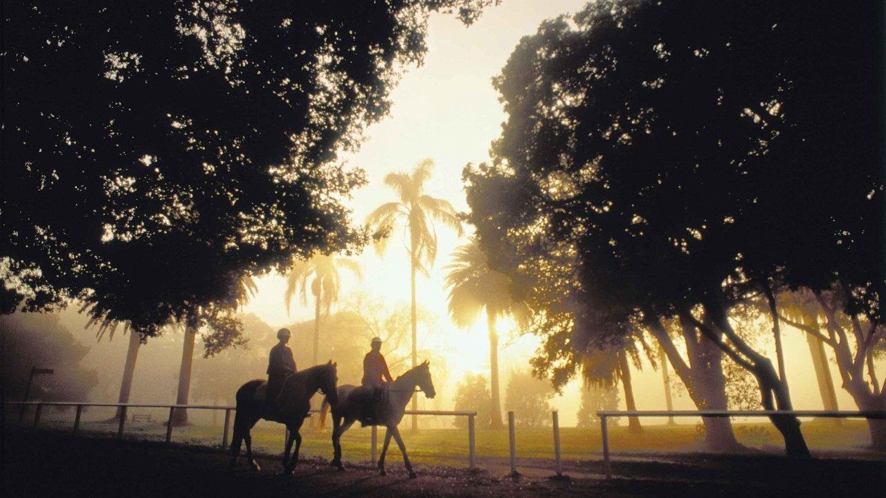 Photo of Others in Randwick