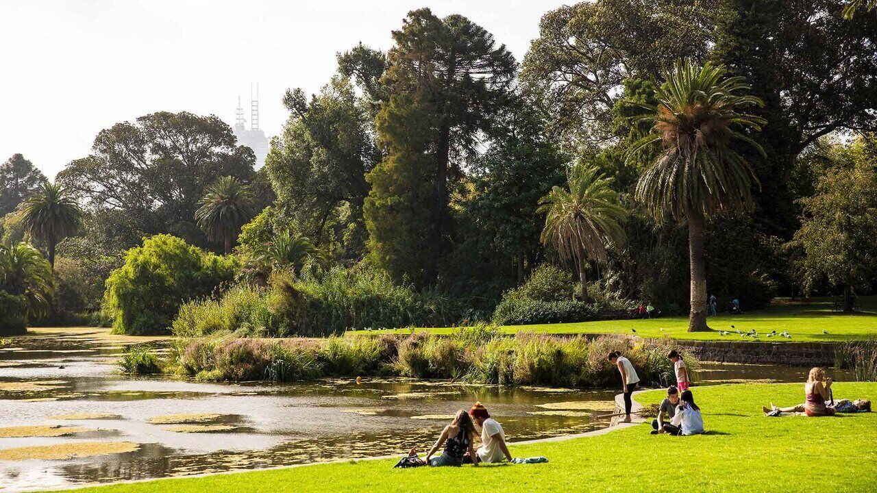 Photo of Others in Randwick