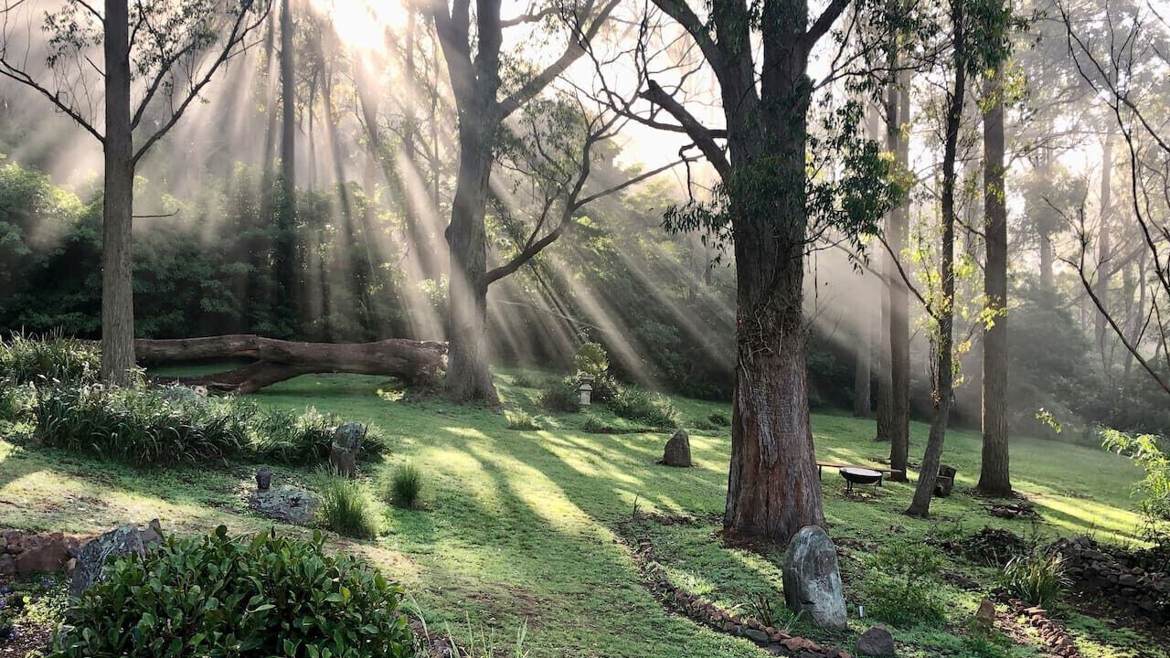 Photo of Outdoor in Bowral