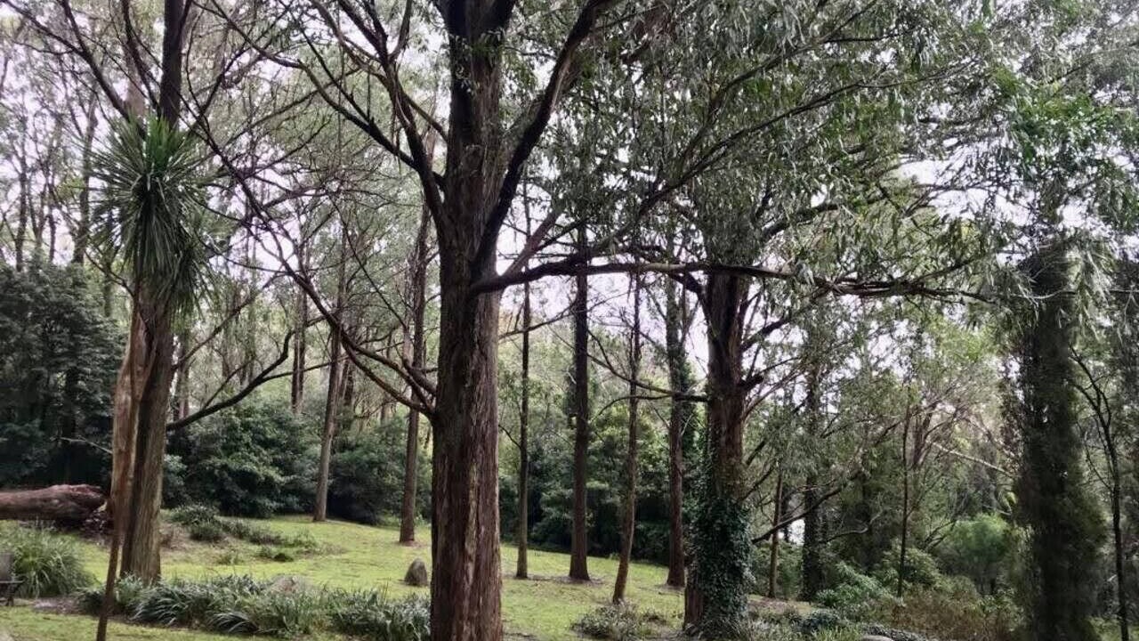 Photo of Outdoor in Bowral