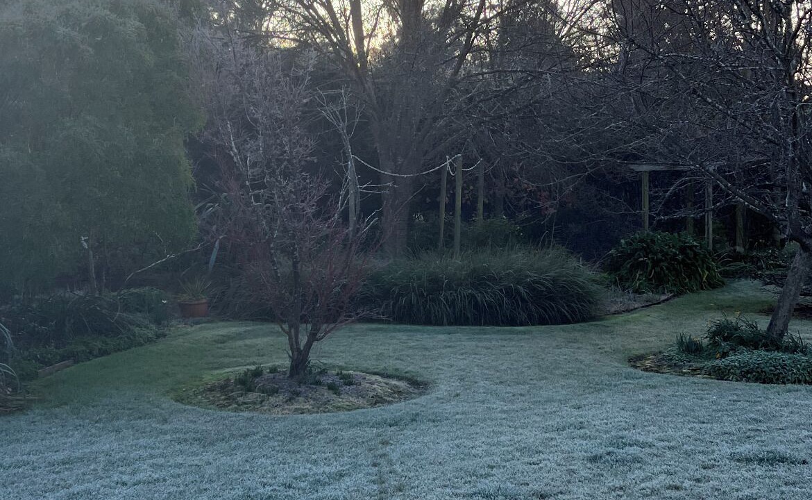 Photo of Outdoor in East Bowral