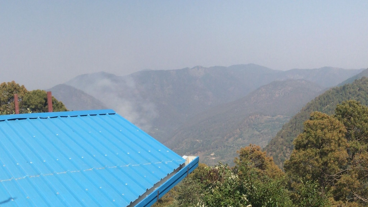 Photo of Others in Pangot