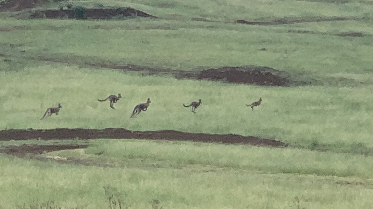 Photo of Others in Castle Rock