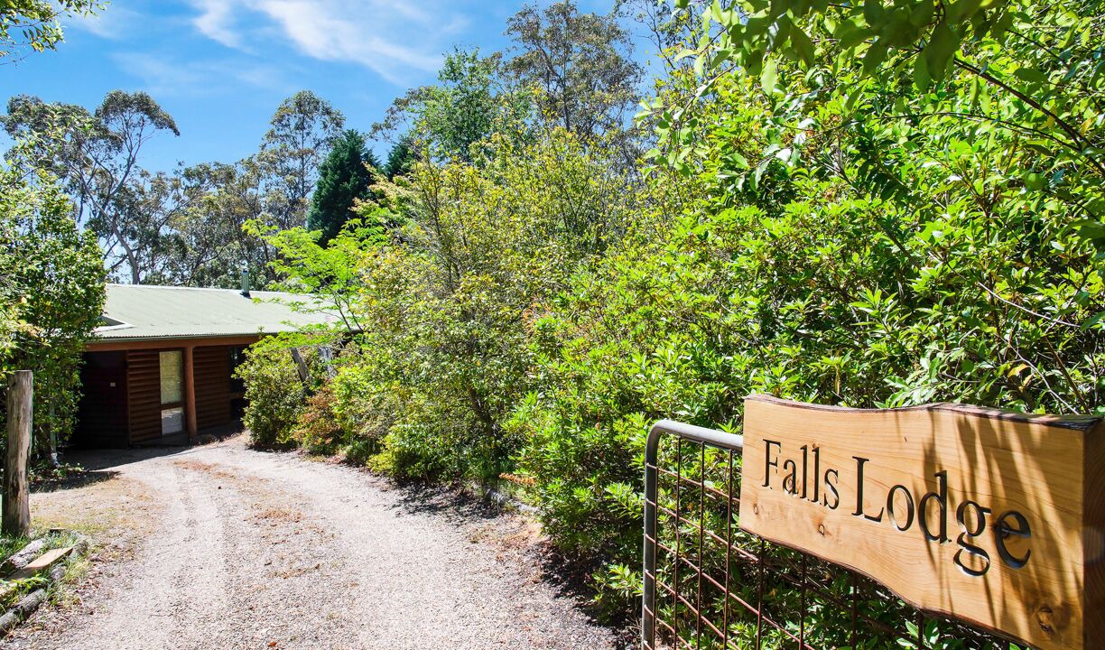Photo of Others in Wentworth Falls
