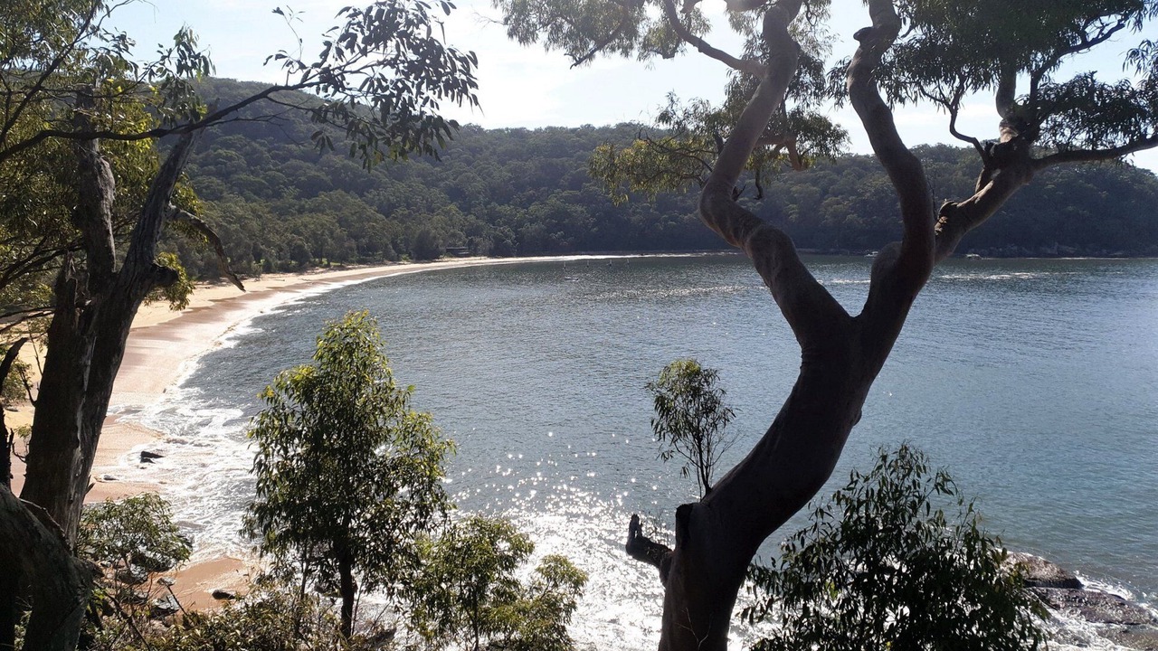 Photo of Others in Little Wobby