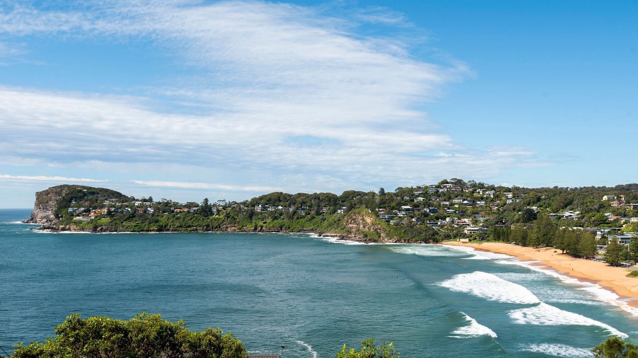Photo of Others in Whale Beach