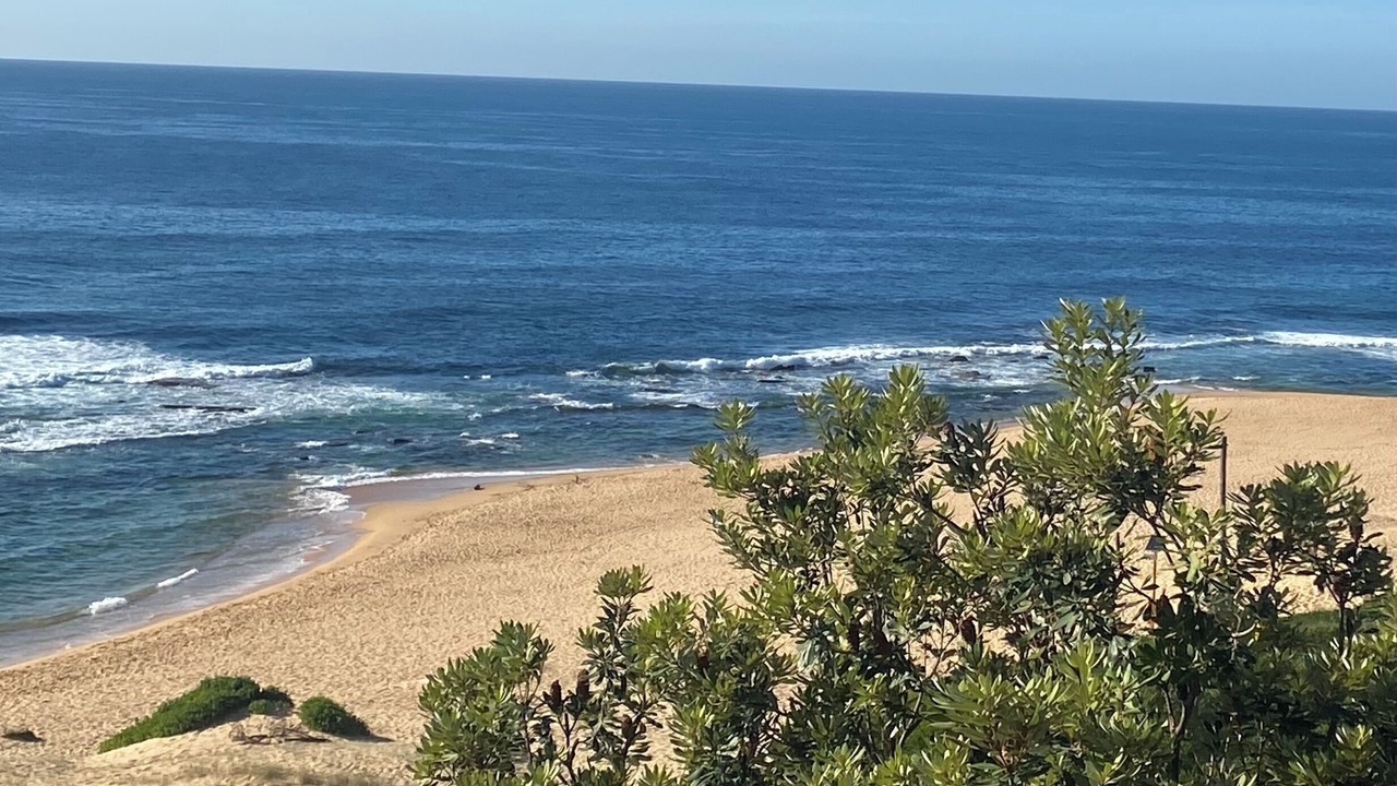 Photo of Others in Forresters Beach