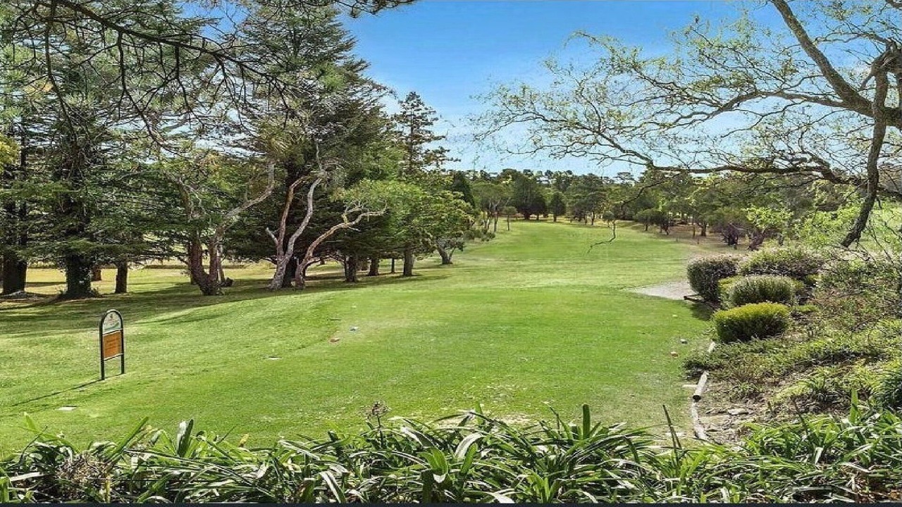 Photo of Others in Wentworth Falls