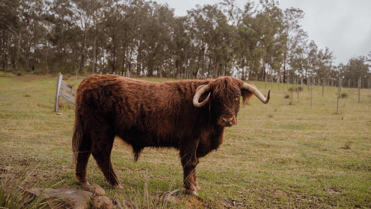 Photo of Others in Howes Valley