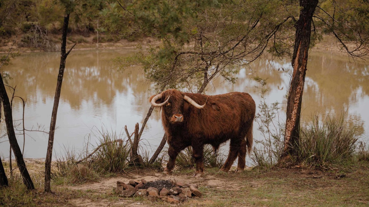 Photo of Others in Howes Valley