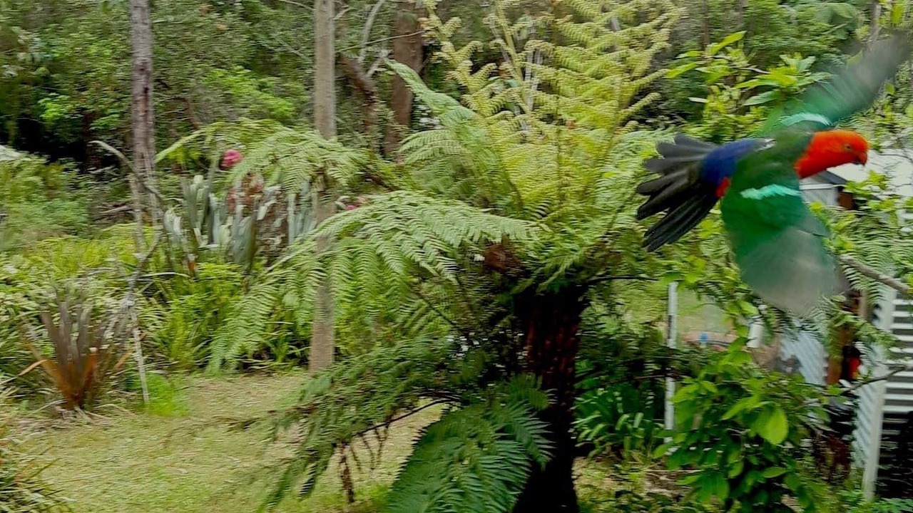 Photo of Outdoor in Hazelbrook