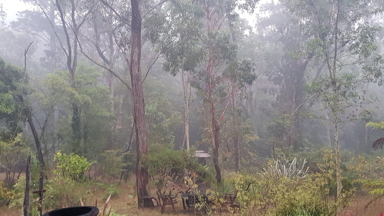 Photo of Others in Hazelbrook