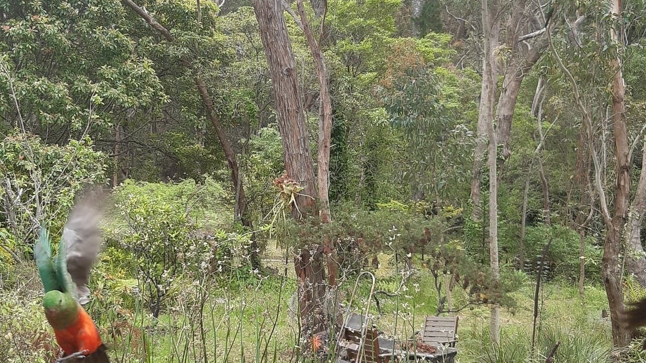 Photo of Outdoor in Hazelbrook