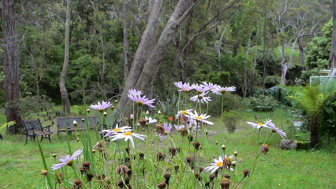 Photo of Others in Hazelbrook