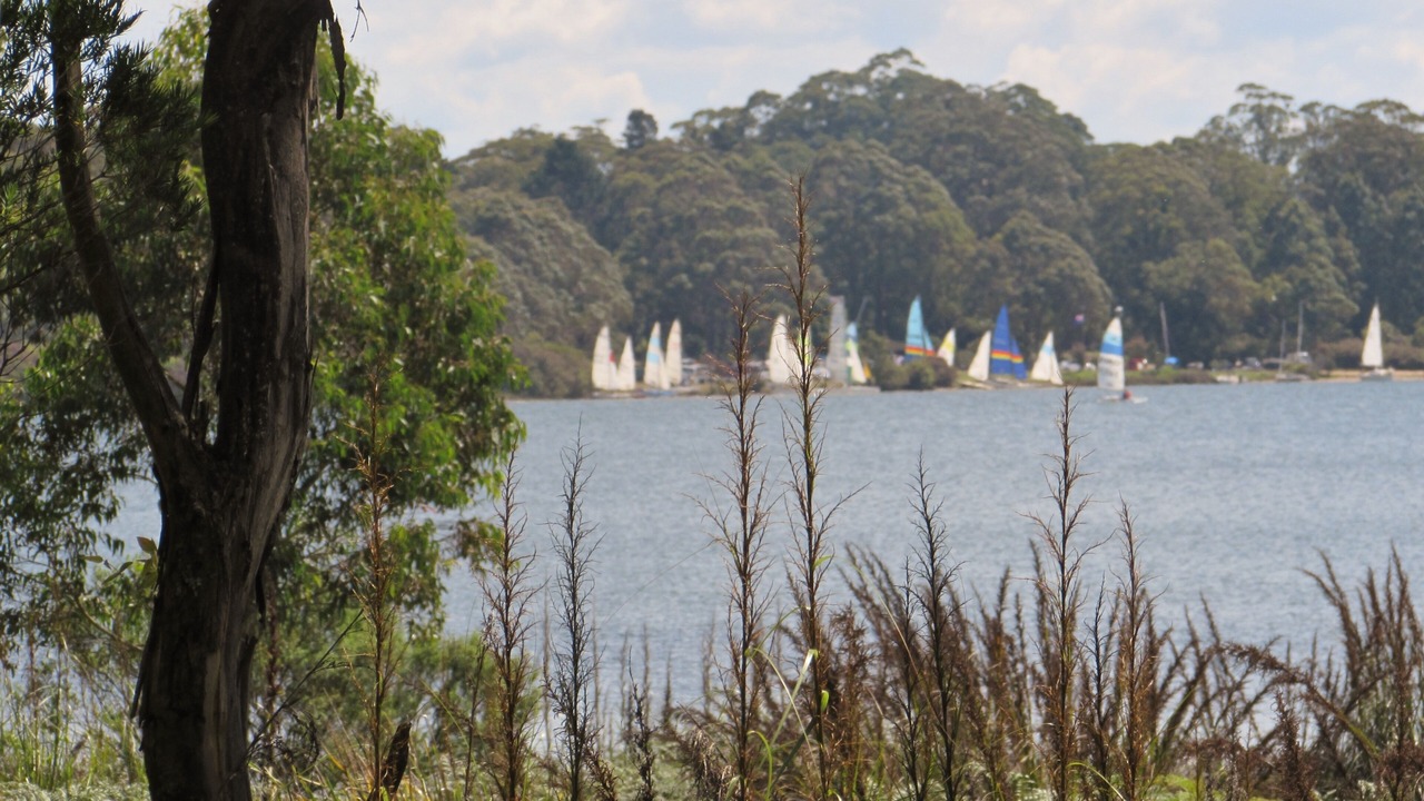 Photo of Others in Fitzroy Falls