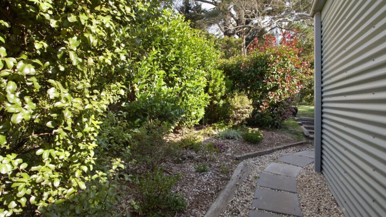 Photo of Outdoor in Blackheath