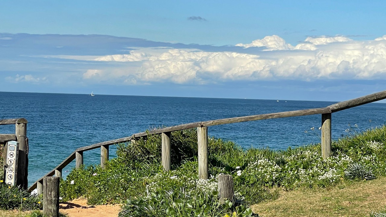 Photo of Others in Narrabeen