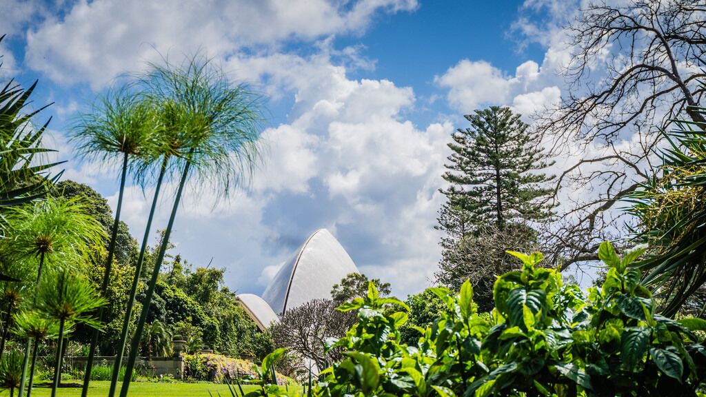 Photo of Outdoor in McMahons Point