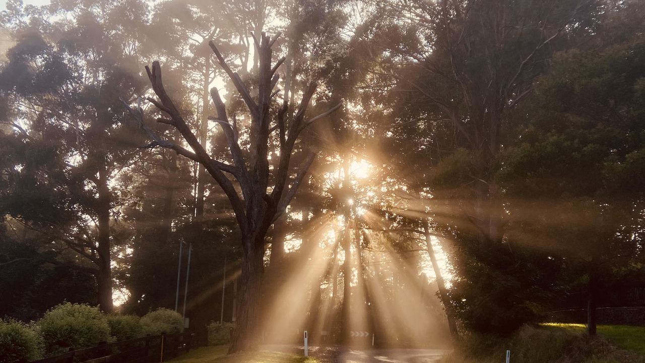 Photo of Outdoor in Mittagong