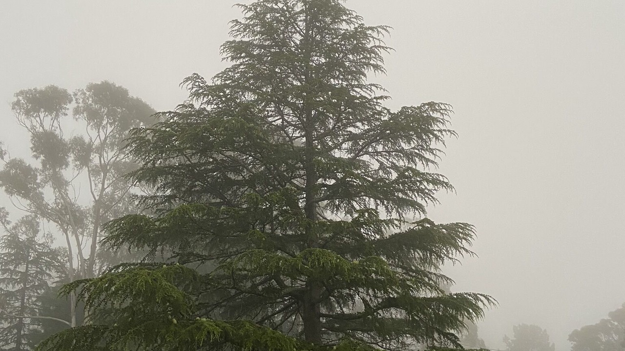 Photo of Outdoor in Mittagong