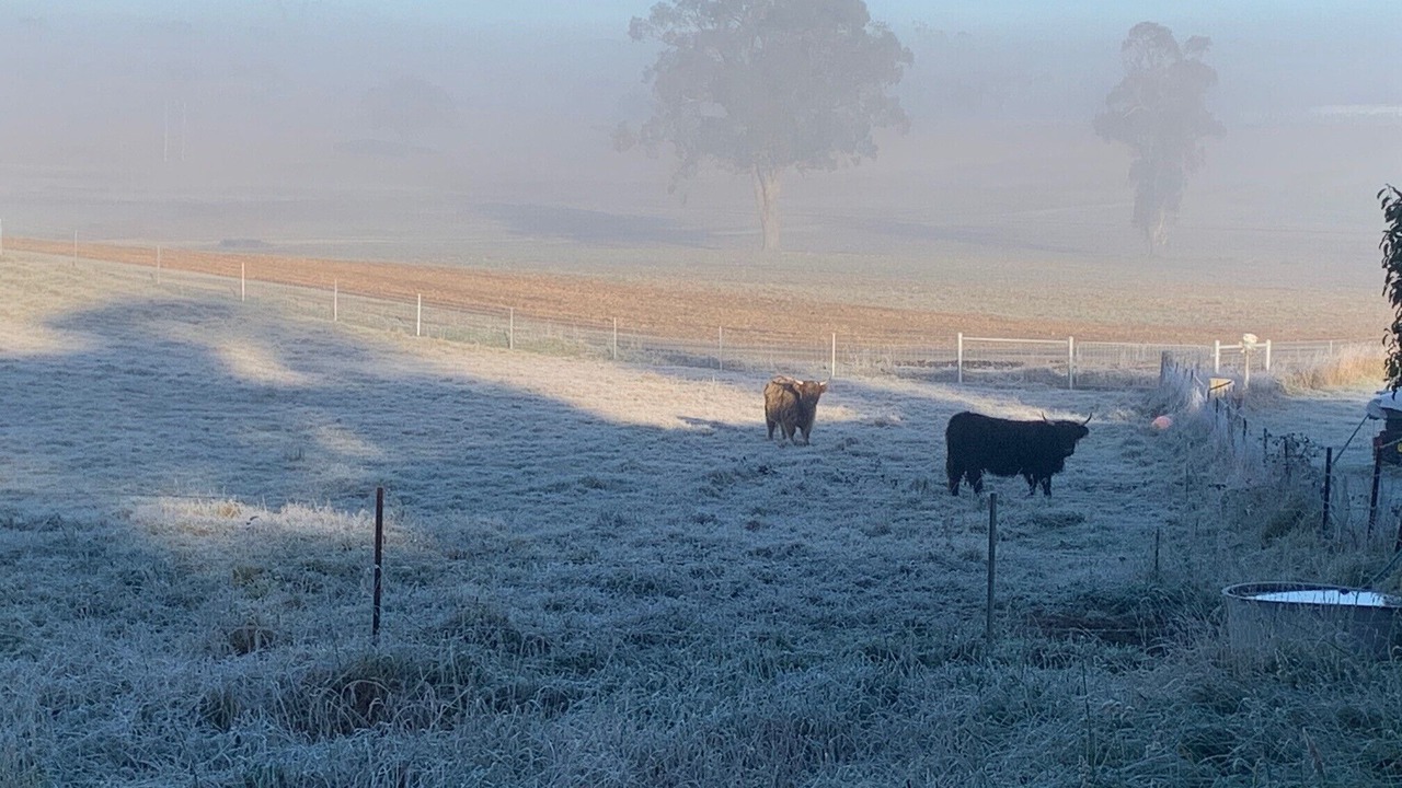 Photo of Others in Avoca