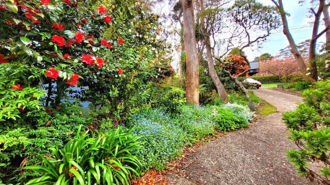 Photo of Outdoor in Katoomba