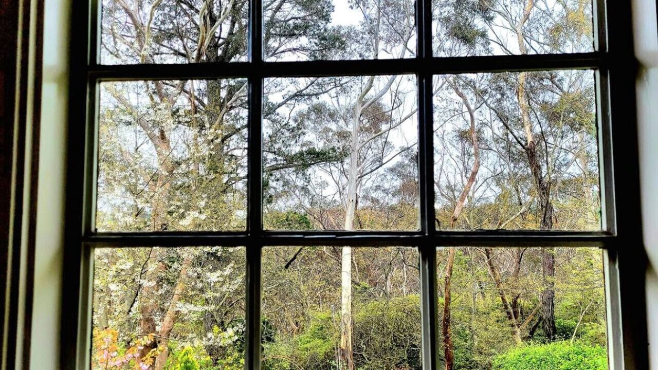 Photo of Others in Katoomba
