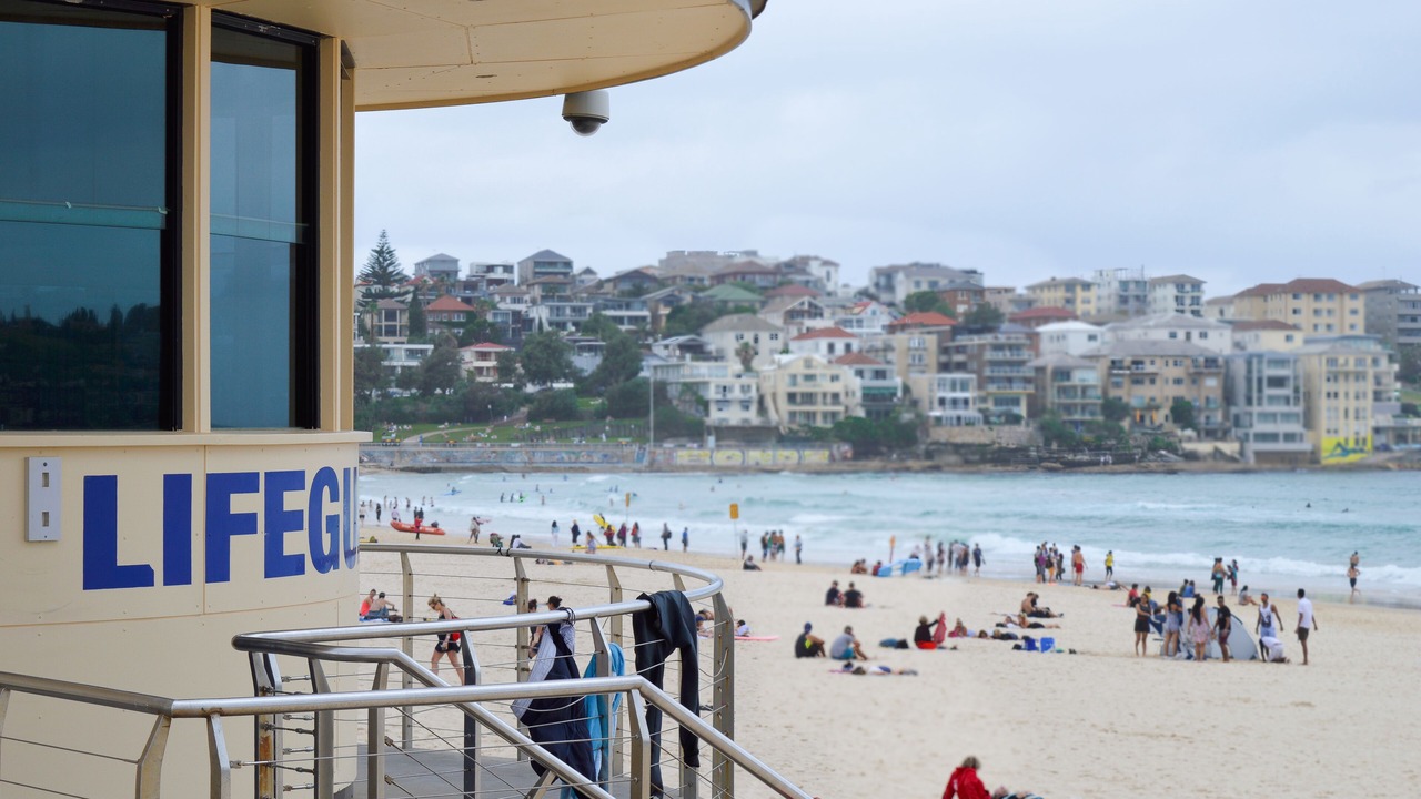 Photo of Others in Dover Heights