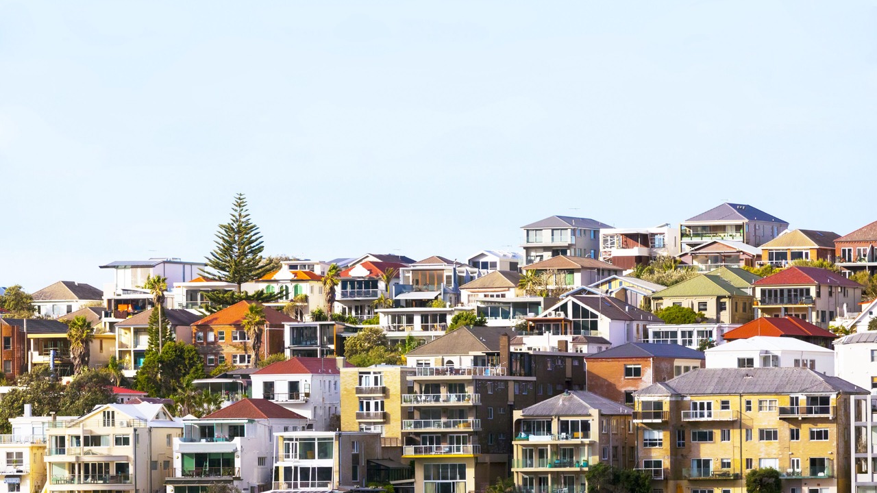 Photo of Outdoor in Dover Heights