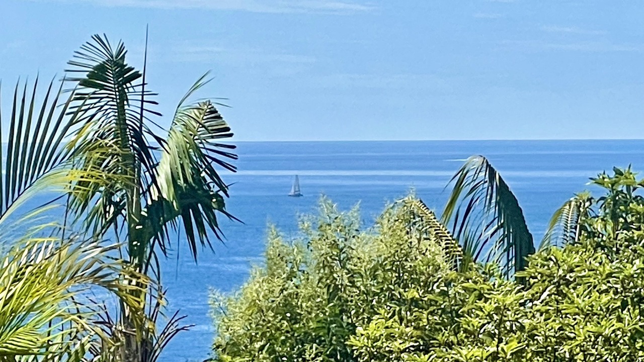 Photo of Others in Bilgola Beach