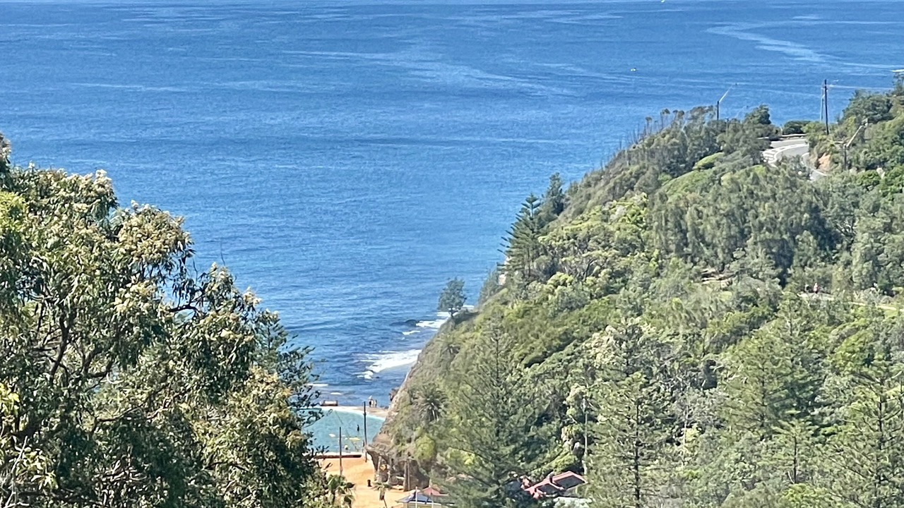 Photo of Others in Bilgola Beach