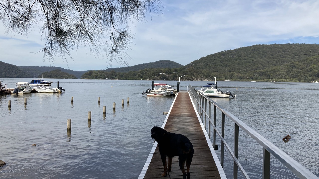 Photo of Others in Bar Point