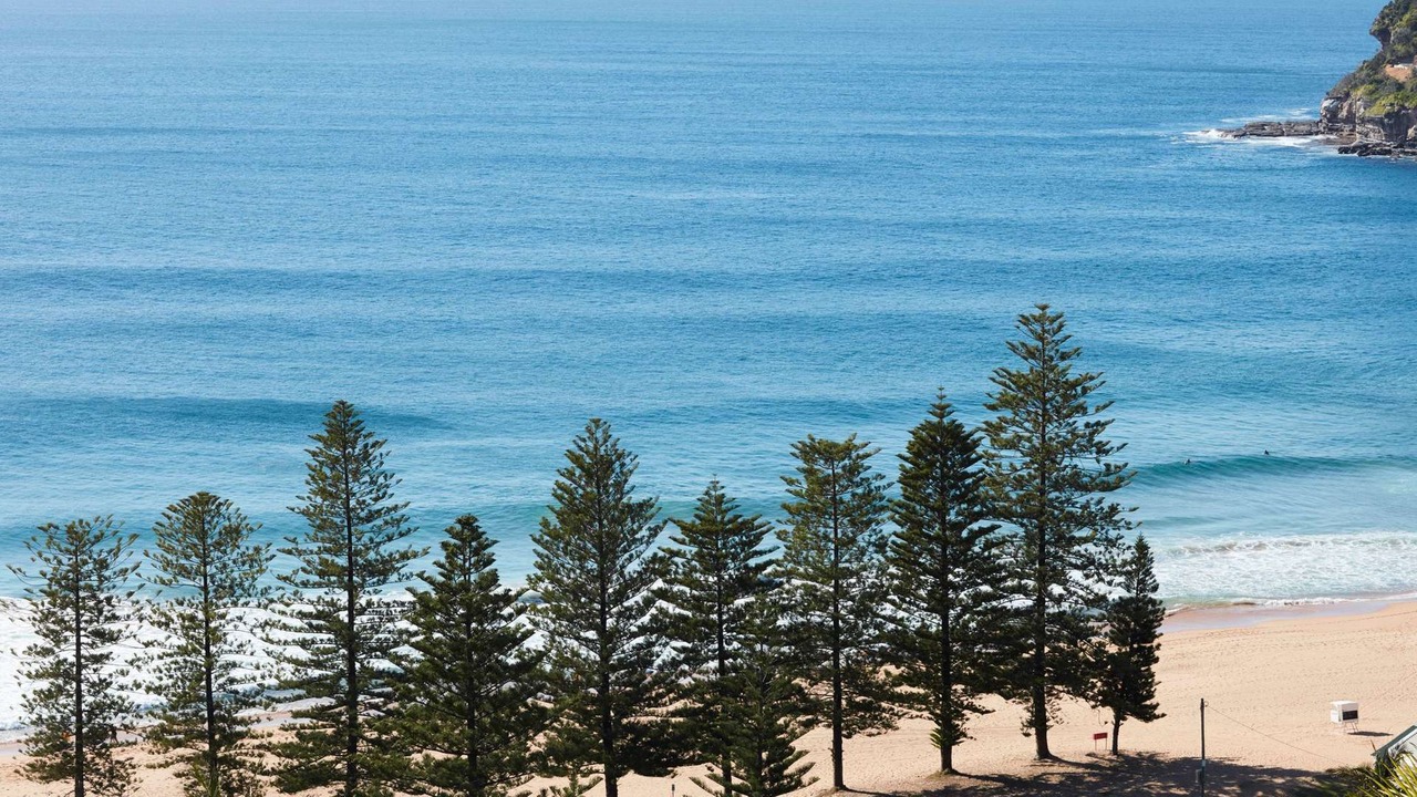 Photo of Others in Whale Beach
